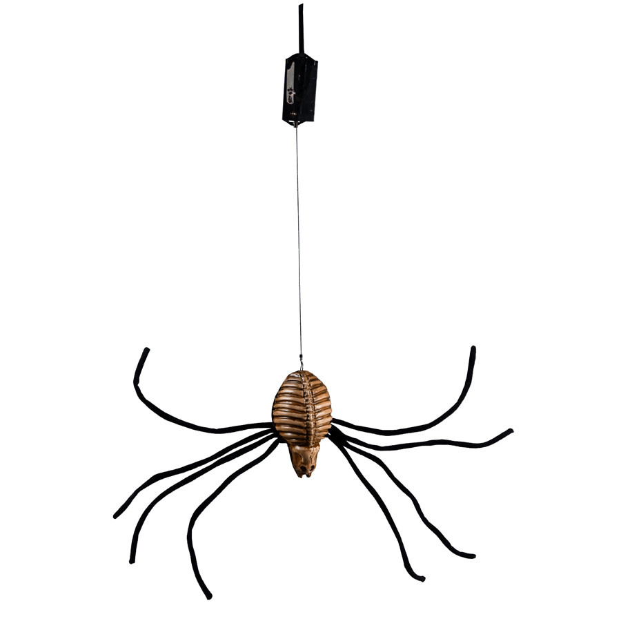 Drop-Down Spider Halloween