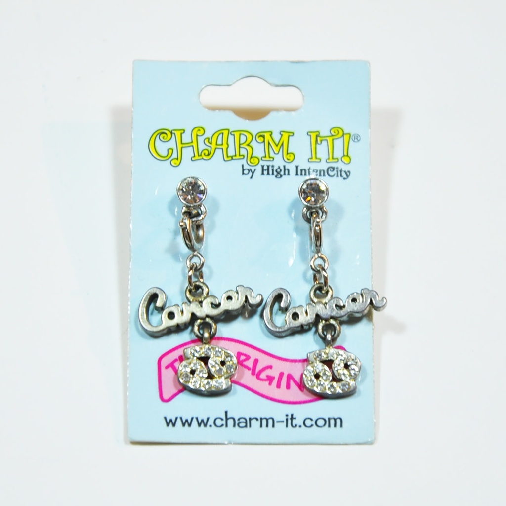Earrings Jewelry