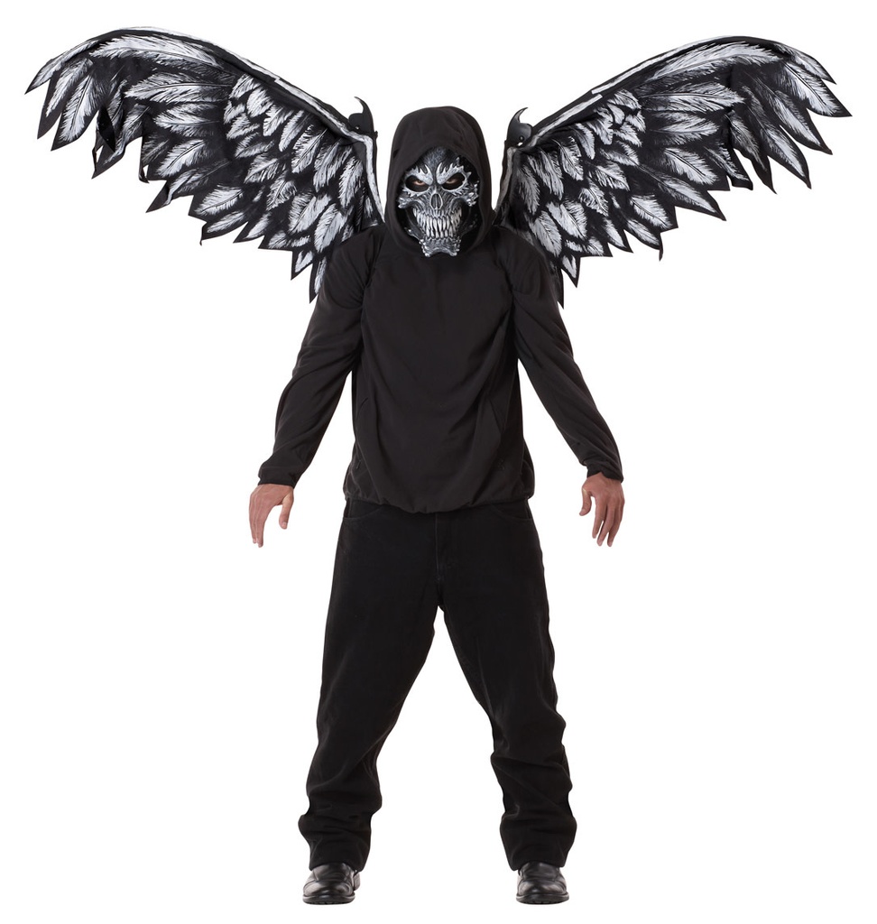 Fallen Angel Mask & Wings