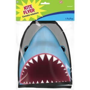 Flyer Kite