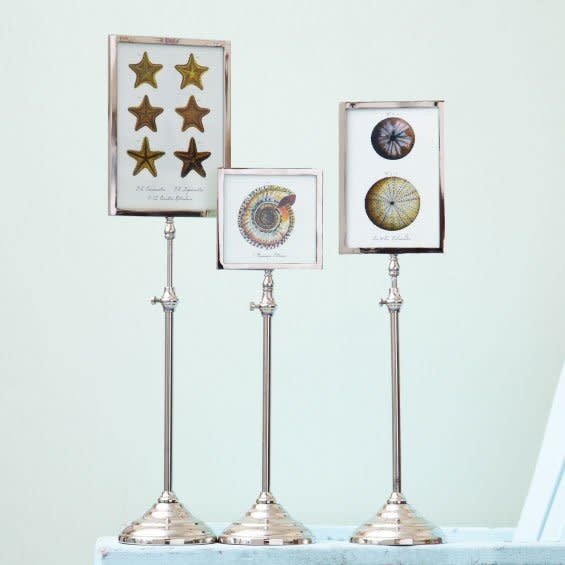 Frame - Telescopic S/3 Silver Mother