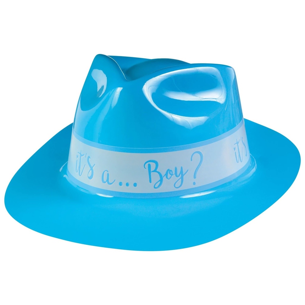 Gender Reveal Vac Hat - Boy Gender Reveal
