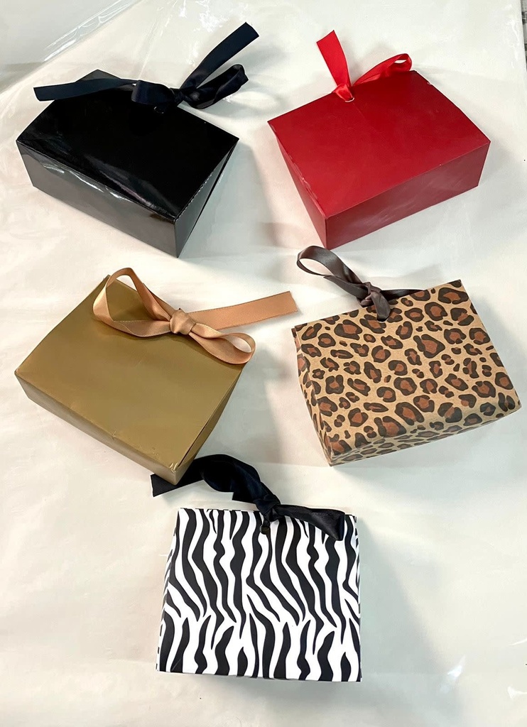 Gift Bag W/Ribbons -Assorted