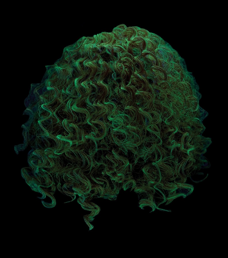 Glow In The Dark Curly Clown Wig