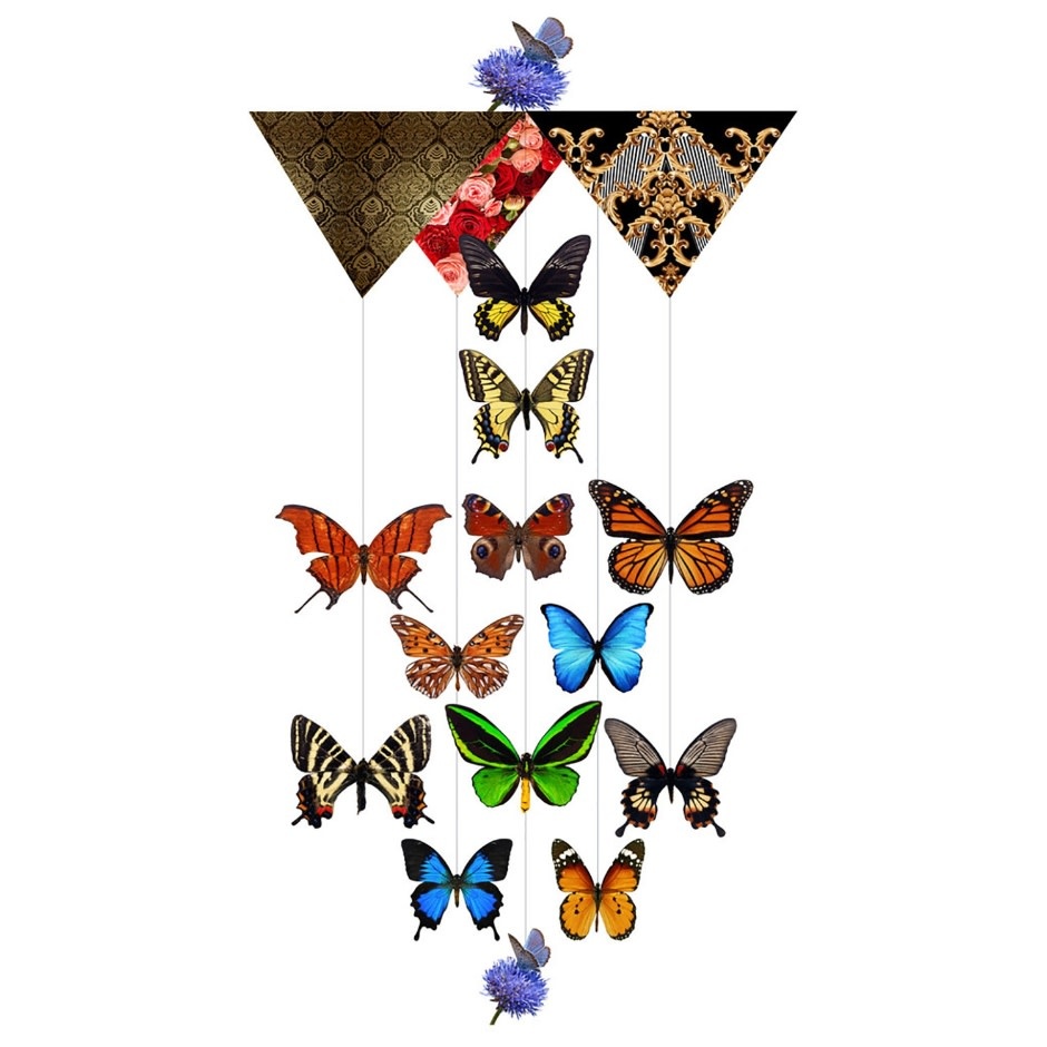 Greeting Card - Secret Butterfly Forest Butterfly