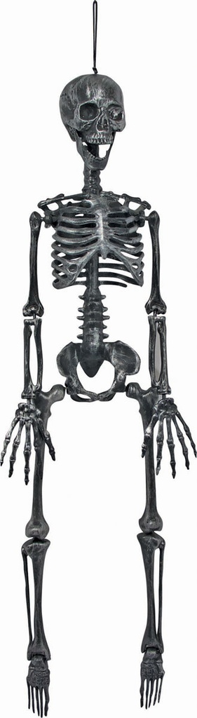 Hang.Slvr Posable Skeleton-36" Halloween