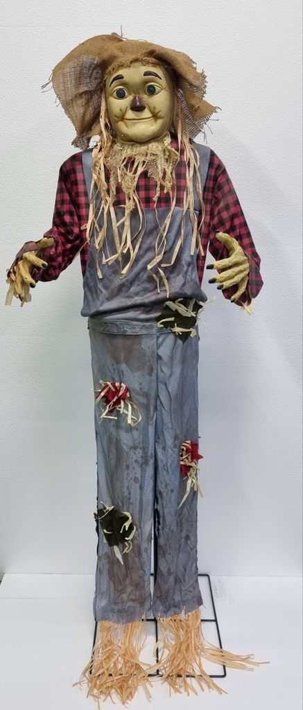 Happy Scarecrow