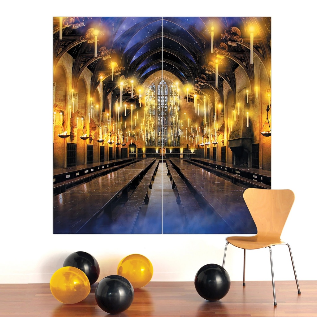 Harry Potter 2 Piece Back Drop Halloween