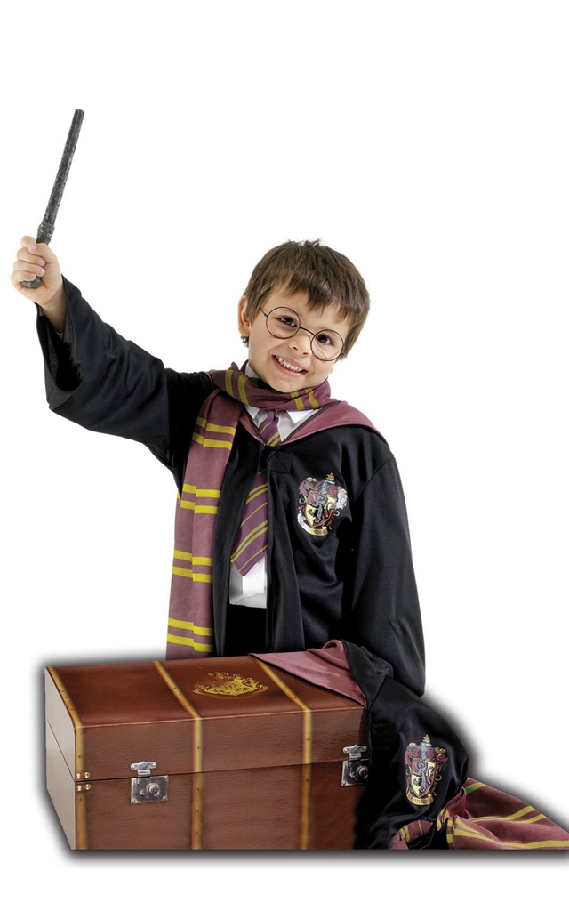 Harry Potter Trunk