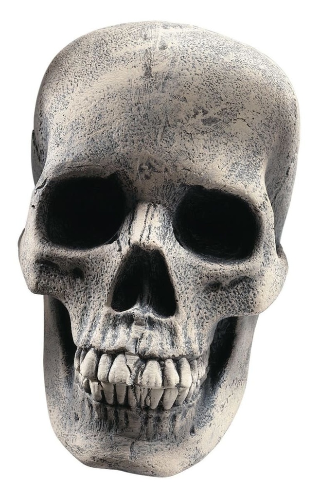 Human Skull Prop Halloween