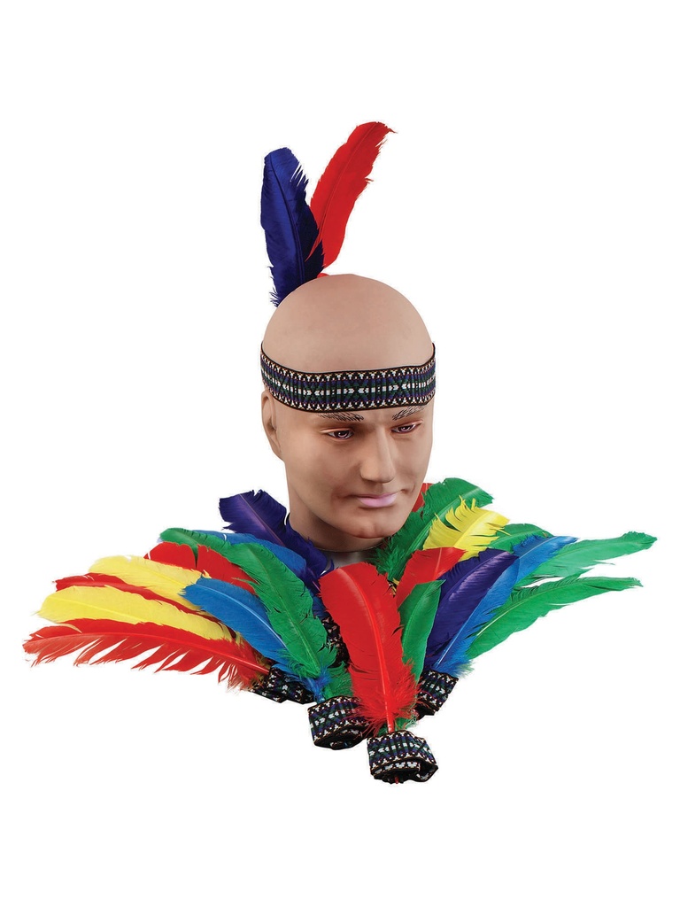 Indian Headband.2 Feathers