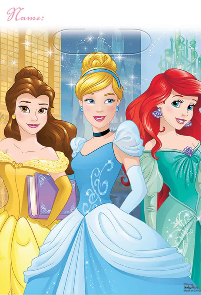 Loot Bag - Princess Dream Big Containers