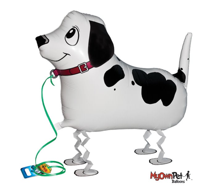 My Own Pet Ballon - Pointer