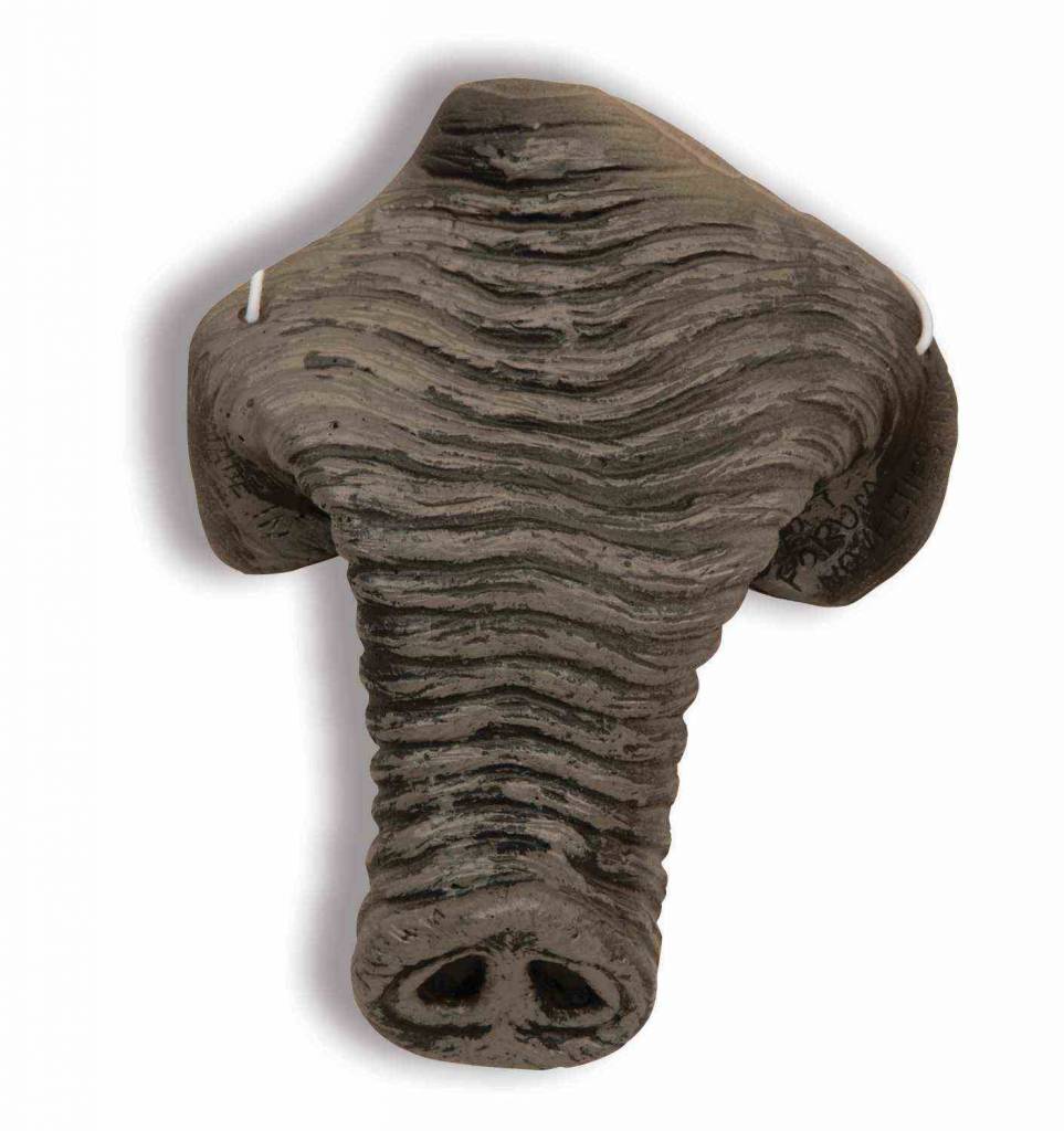 Nose - Elephant Jungle Animals