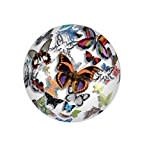 Paper Weight - Butterfly Parade Butterfly