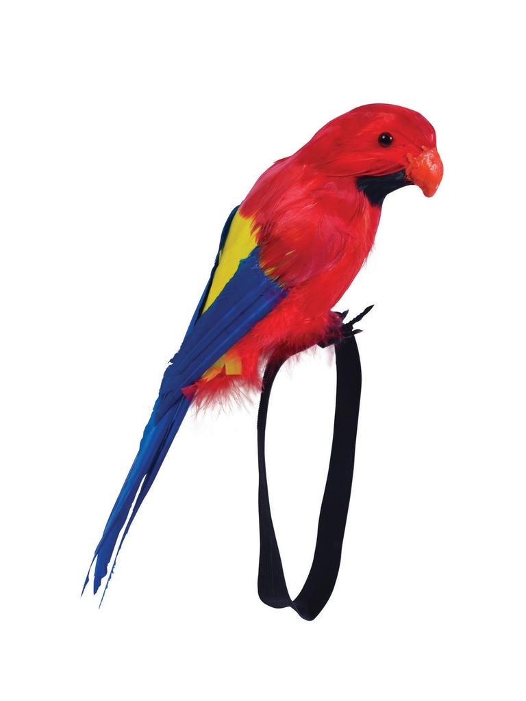 Parrot-Feather Wrist