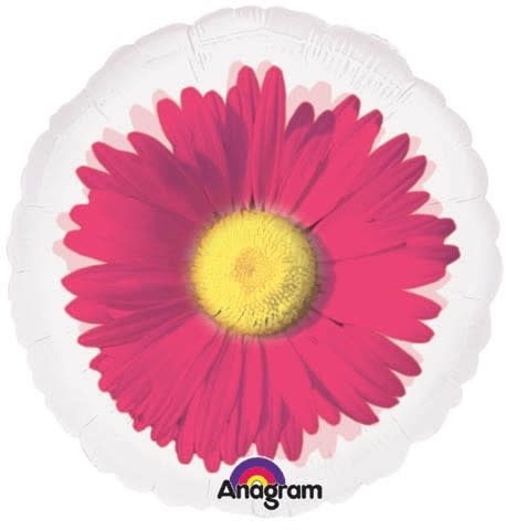 Pink Daisy Magicolor