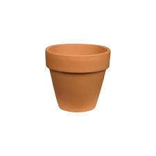 Plant Pot 9Cm H * 30Cm D