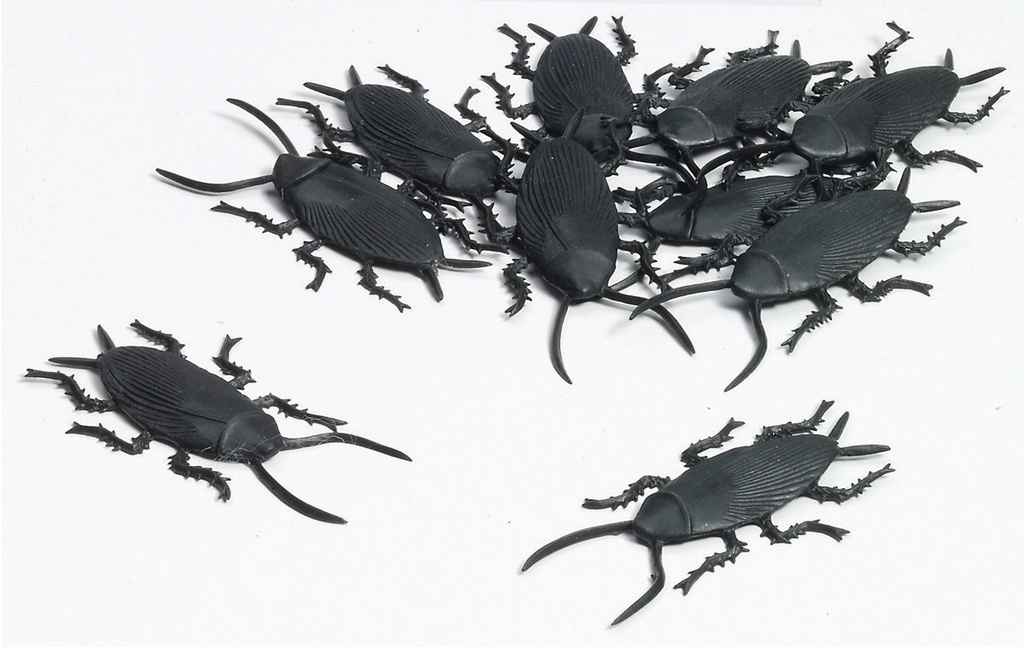 Roaches-Set Of 12-Pbh Halloween