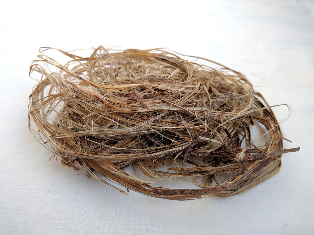 Seagrass Ribbon - Dusty Peach