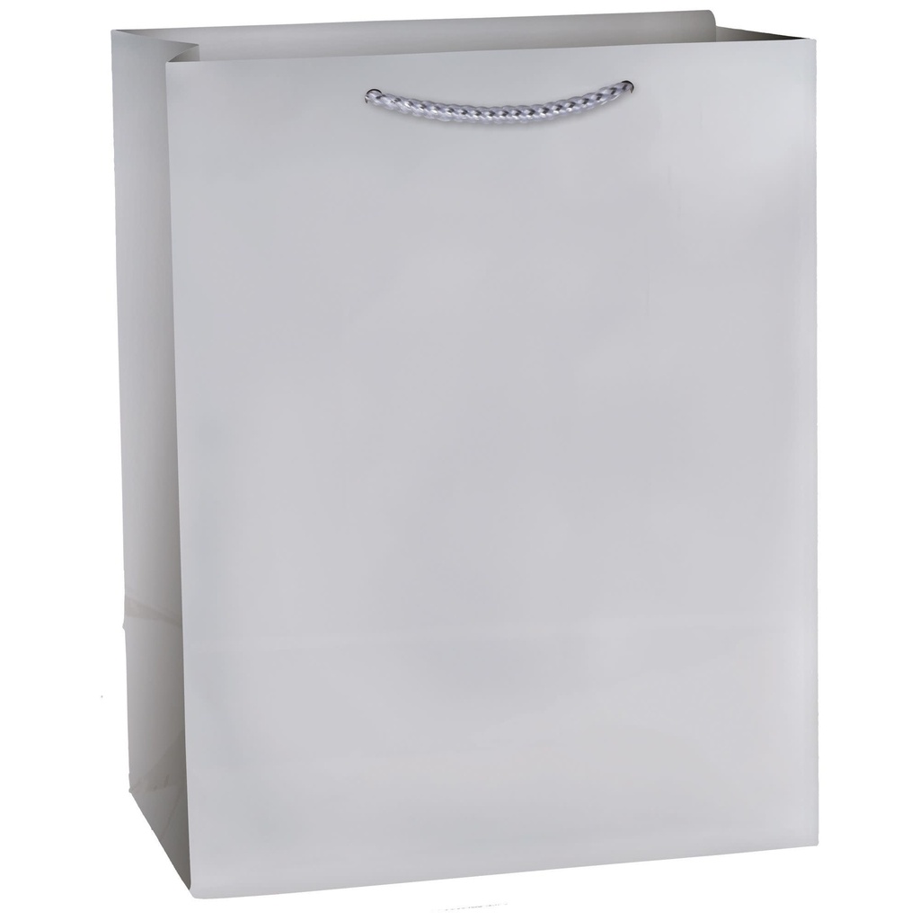 Silver Matte Medium Gift Bag