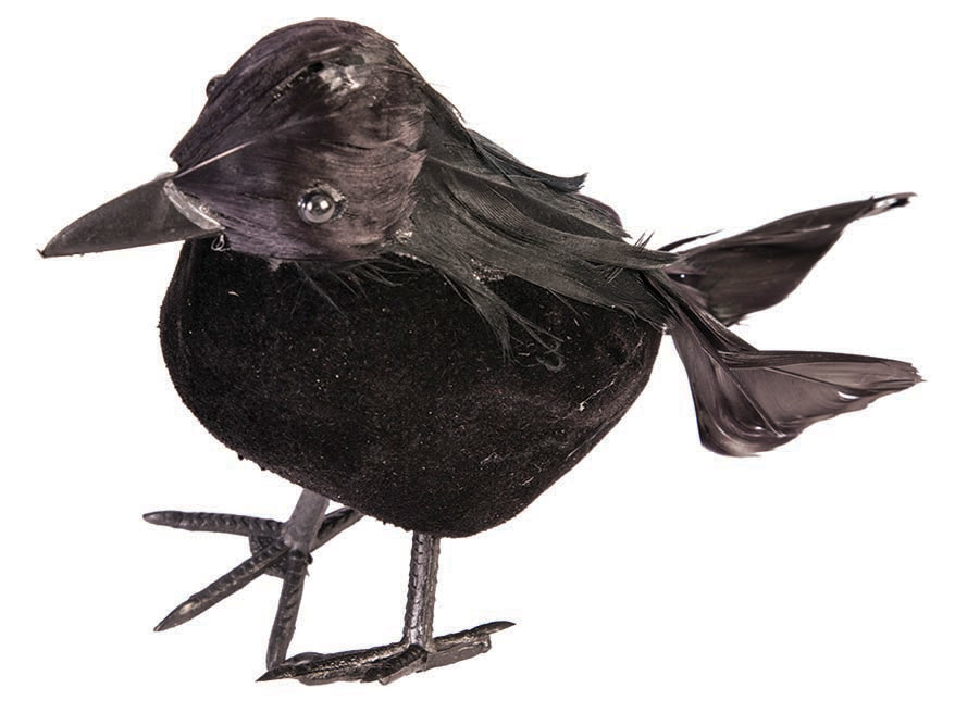 Small Black Crow 5"Tall(24/Bx) Halloween
