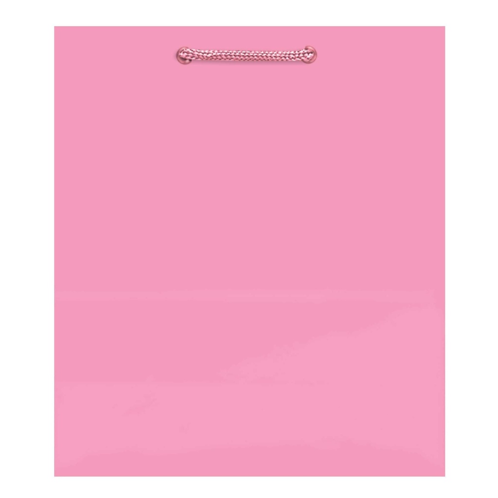 Solid Glossy New Pink Medium Bag