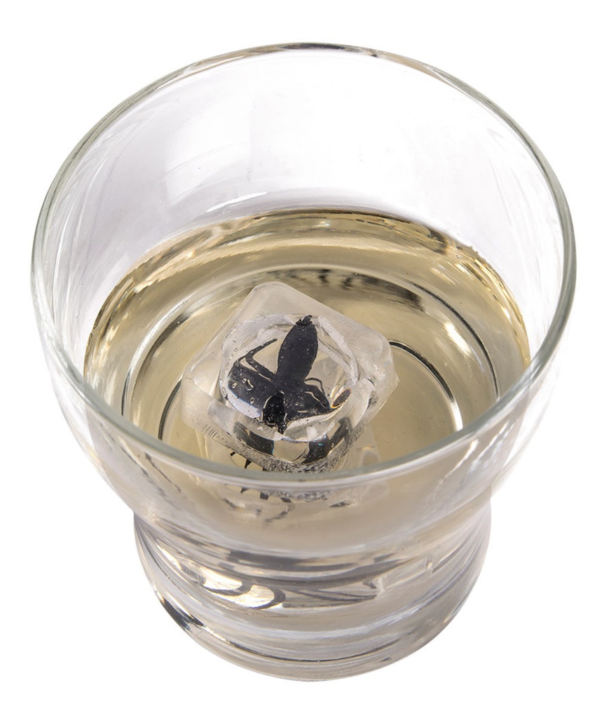 Spider In Ice Cube Set-4Pc Halloween