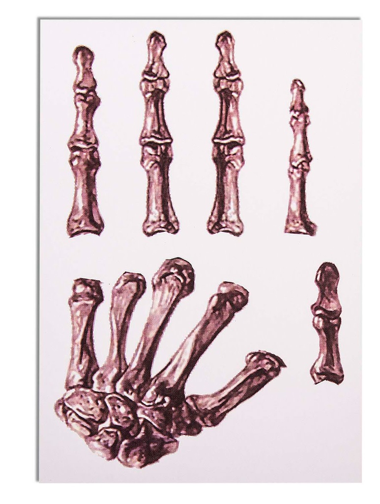 Tattoo - Hands - Bones