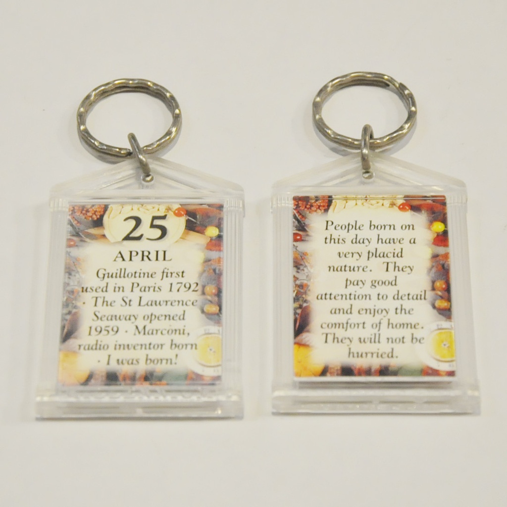 The Day You Were Born Keyring & Clips