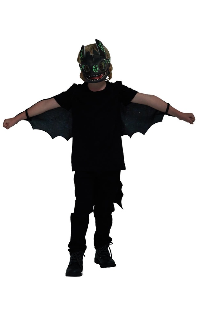 Toothless Glow In The Dark Accessory Set