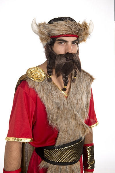 Warrior Beard-Blonde