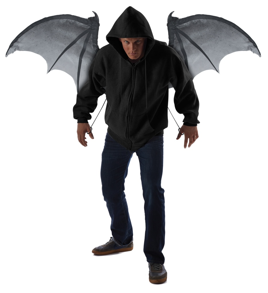 Wicked Wings