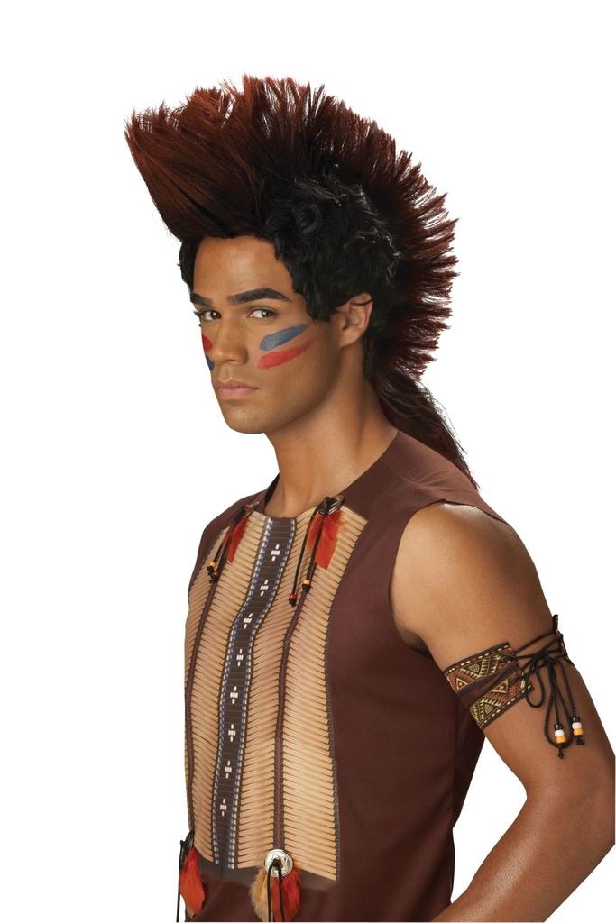 Wig-Indian Warrior