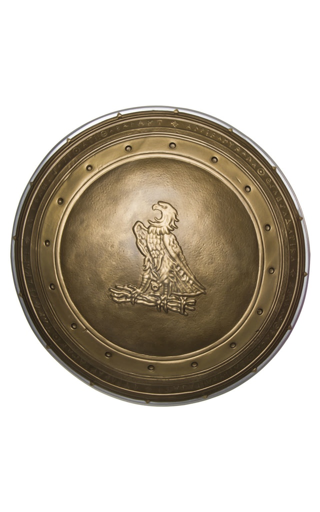 Wonder Woman Adult Shield