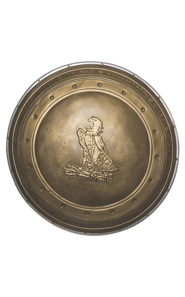 Wonder Woman Child Shield
