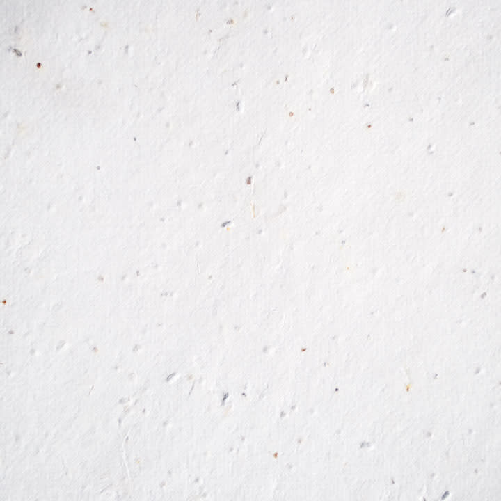 Wrapping Paper-3 Seed Paper Sheets/Roll