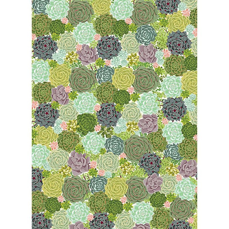 Wrapping Sheet (26x19) Inches-Succulents