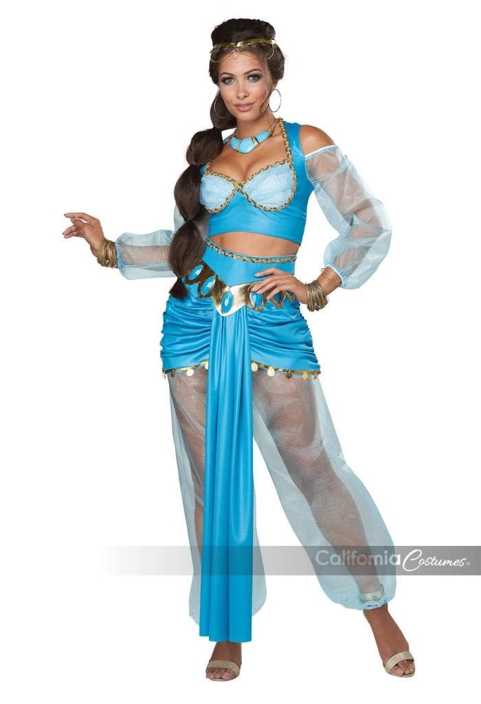 Arabian Princess Womens Costume Countries & Historical