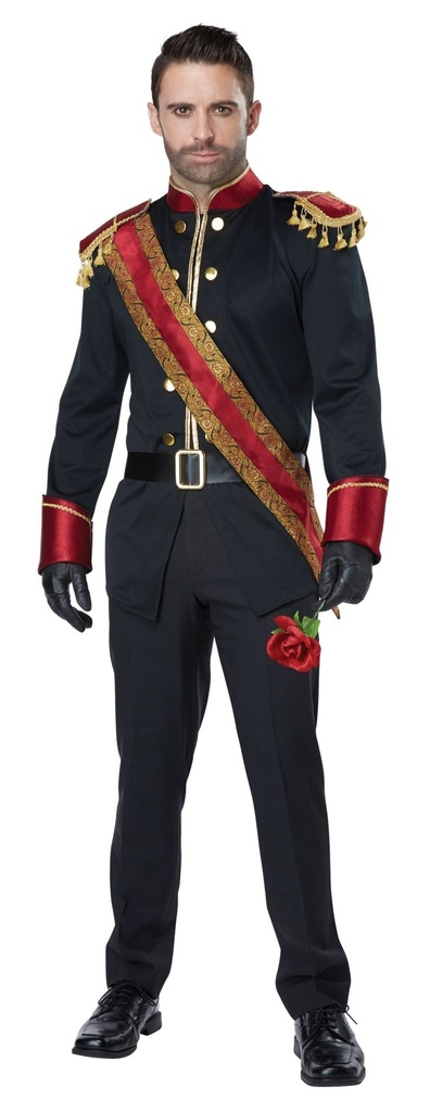 Dark Prince Men's Costume Dolls & Storybook