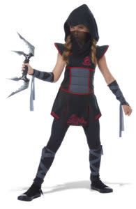 Fearless Ninja Girl