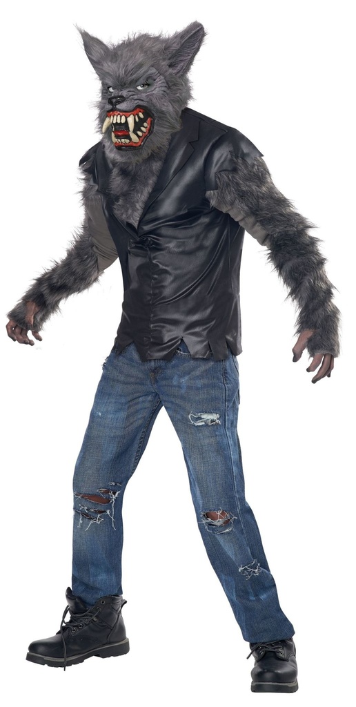 Full Moon Fury Boys Costume Boys Child