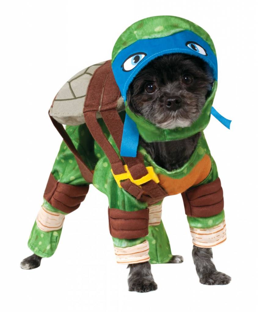 Leonardo Pet