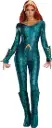 Mera Deluxe Woman Costume