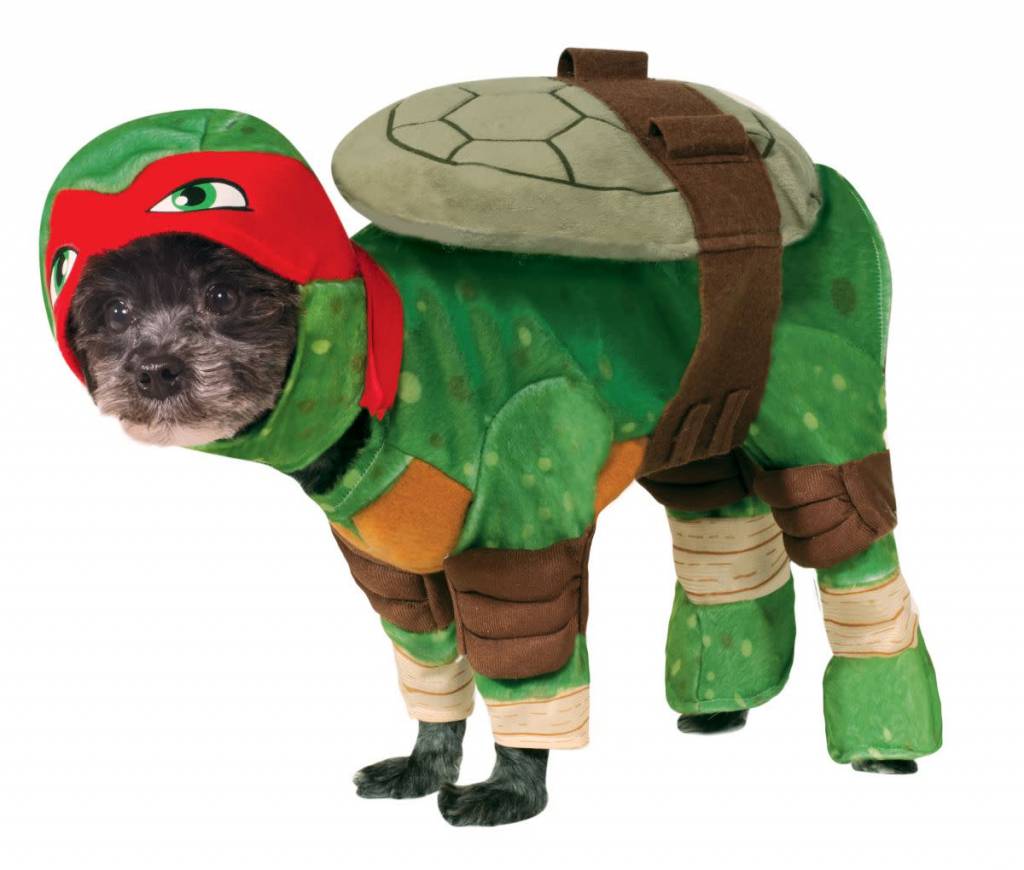 Raphael Pet