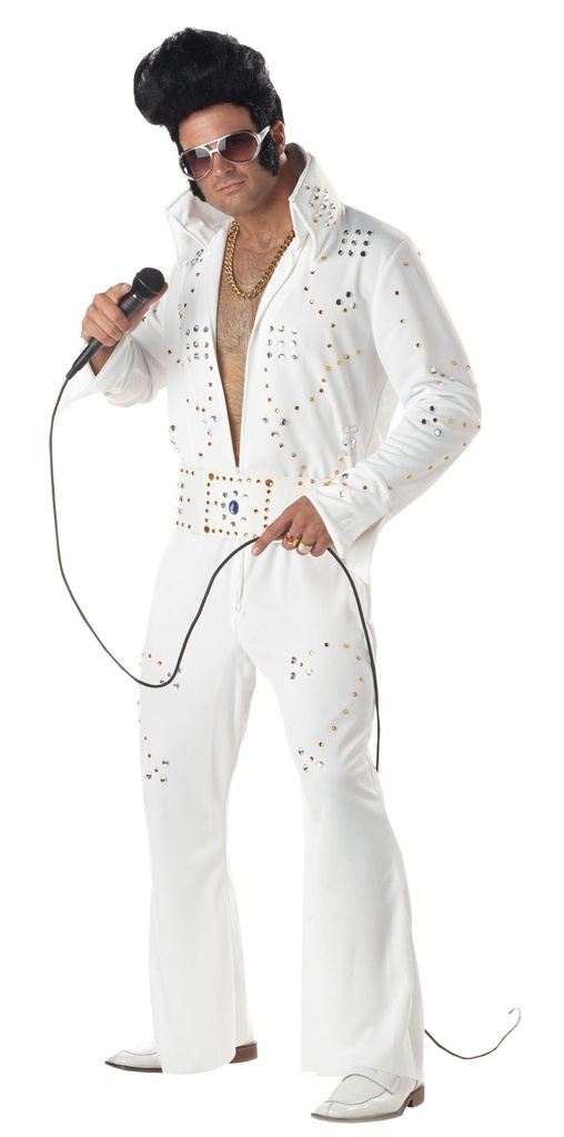 Rock Legend (Elvis) Musicians & Stars