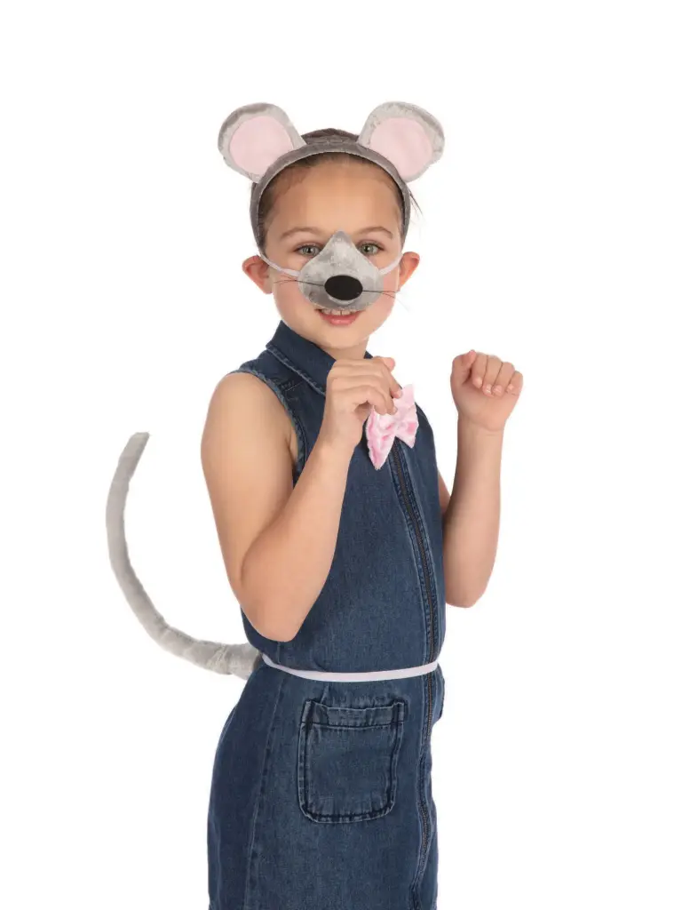 Mouse Accessory Set with Sound