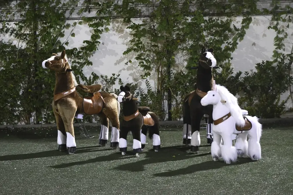 Ride On Pony 3 hour Rental-One Small