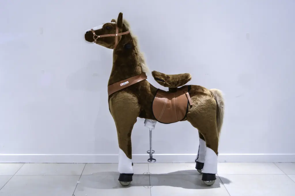Ride On Pony 3 hour Rental-Large