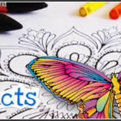 Arts and Crafts/15 Persons-Coloring